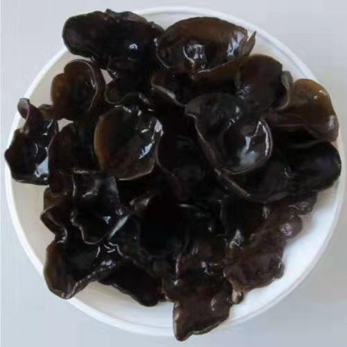 木耳泡发后可以直接吃吗（木耳泡久了会产生剧毒物质）