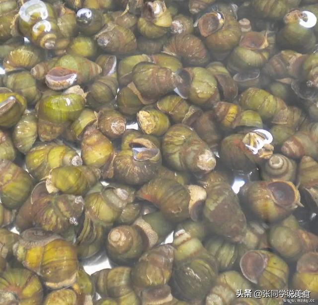 石头螺怎么吃，田螺哪里不能吃图解（我教你处理）