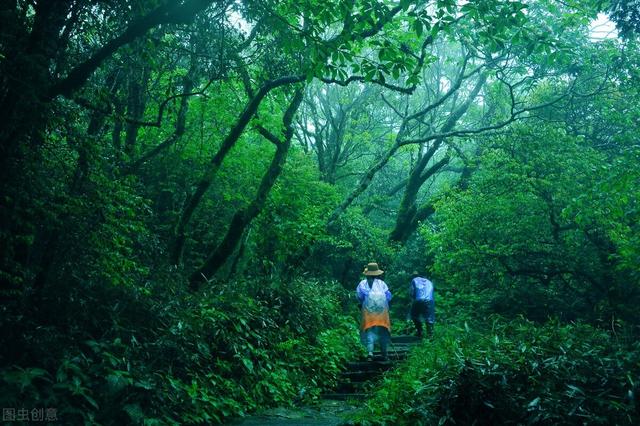 七八月份国内最佳旅游地方，七八月份国内最佳旅游地方溜娃（到这10个最佳旅游胜地）