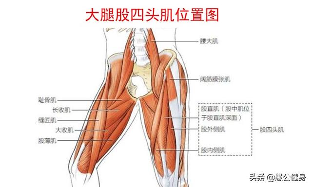 弹跳该怎么练，好的弹跳力是怎样来的