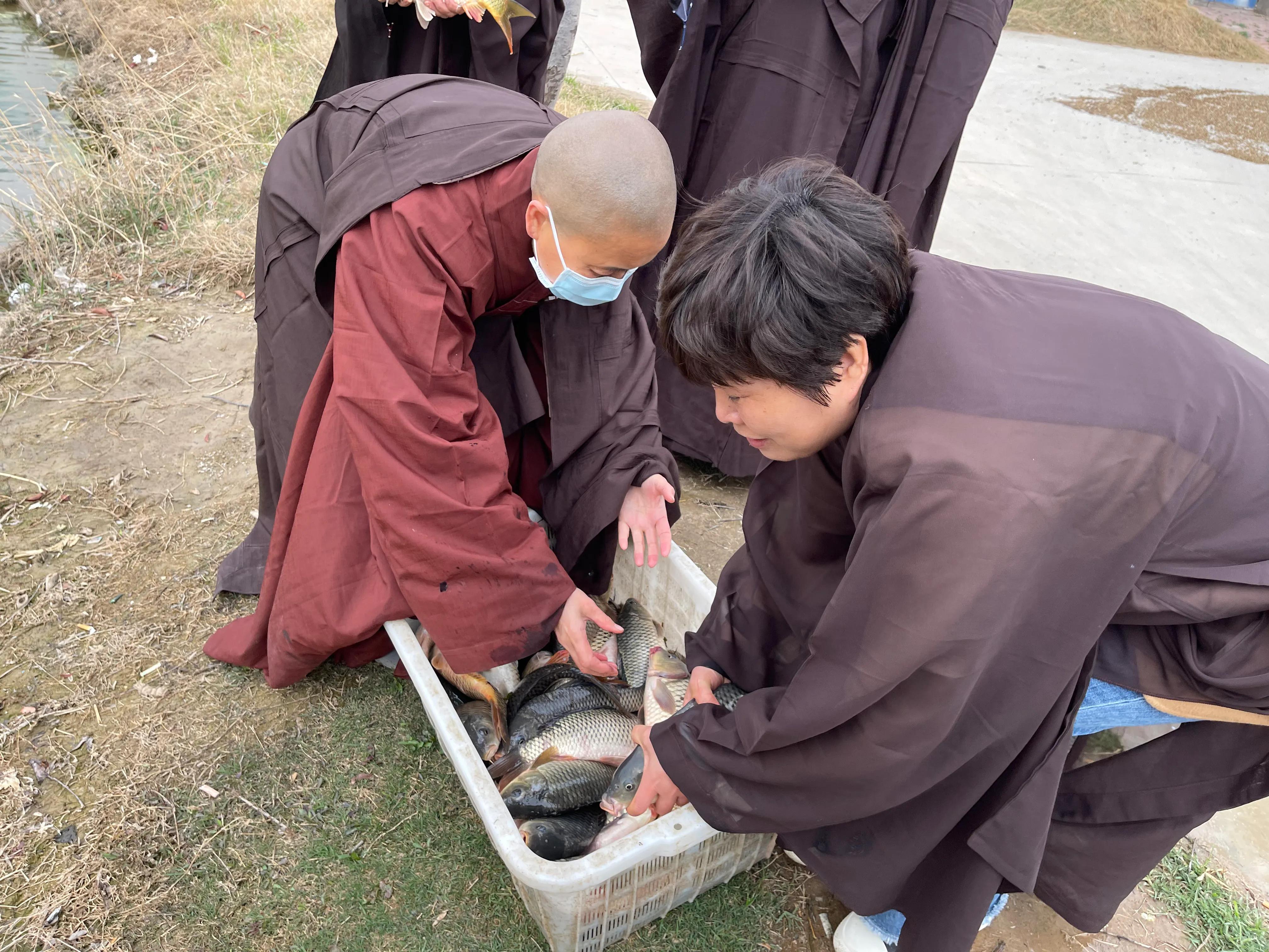 妙果法师简历图片