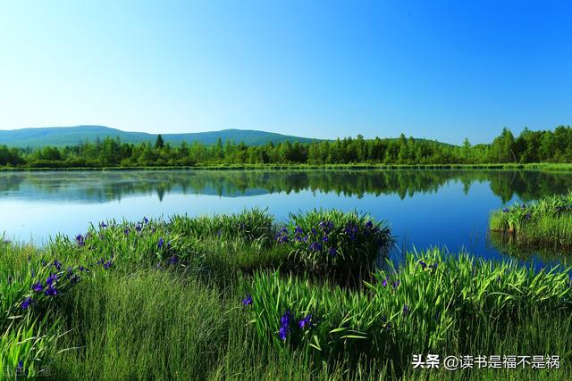 后汉书班固传注释及翻译，国学经典之《后汉书》导读第九十四讲
