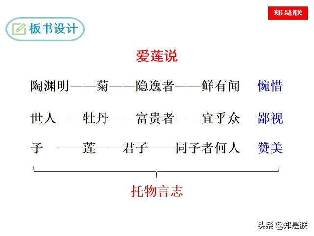 爱莲说原文朗读，爱莲说拼音版原文（部编人教版七年级语文下第17课《爱莲说》周敦颐-诵读+课件）
