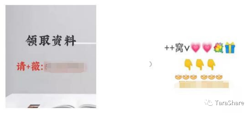 小红书怎么私信(小红书私信如何发图片)