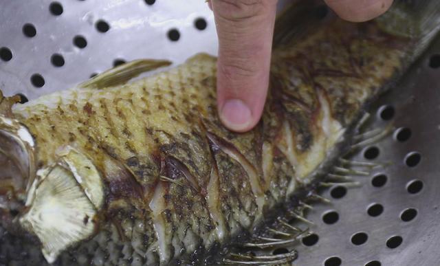 十大碱性食物排名，十大强碱性食物排名表（6种碱性食物要常吃）