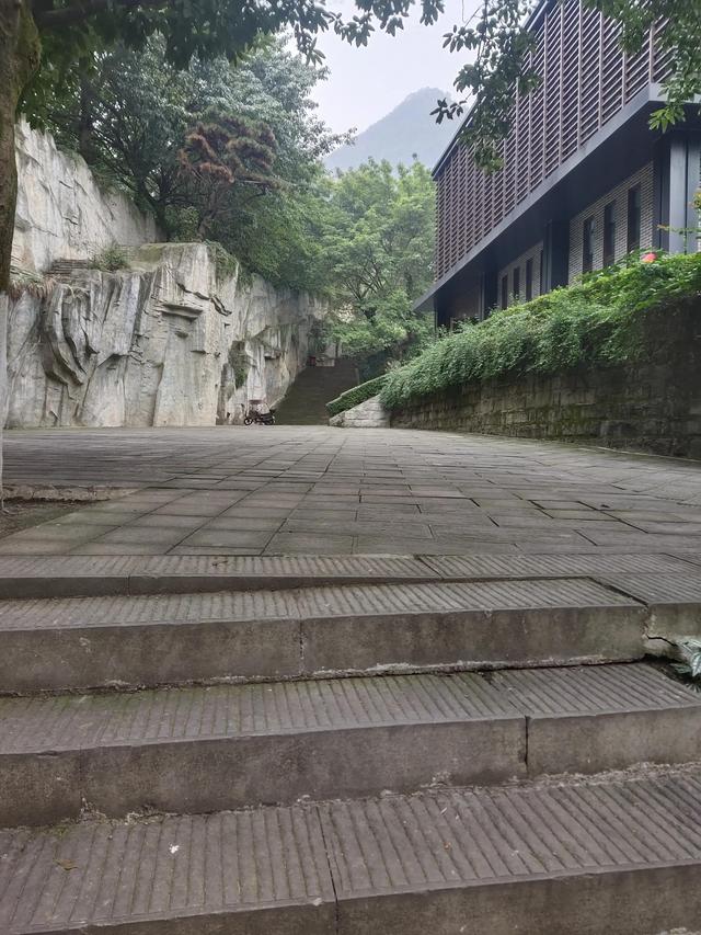 歌乐山森林公园，重庆旅游必去景点（歌乐山国家森林公园）