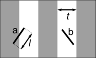 圆周率是怎么算出来的，圆周率怎么算出来的（人类为何对它如此痴迷）