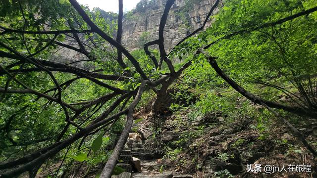 厦门龙洞风景区，厦门龙洞风景区门票多少（厦门龙洞：罕见的峡谷地貌）