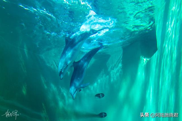哈尔滨旅游攻略自由行攻略最新，哈尔滨一日游攻略