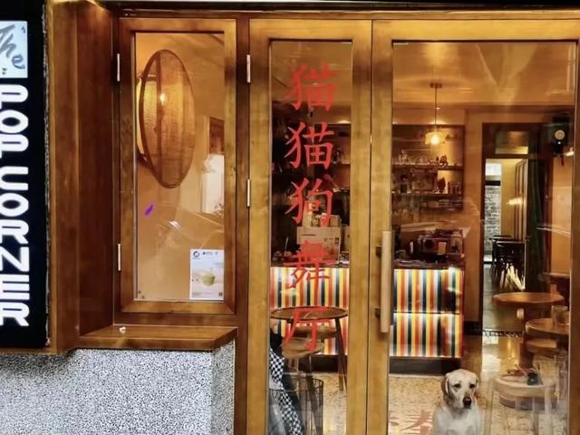 最潮最个性酒吧名字，好听有寓意的酒吧名字（上海15家风格奇特的酒吧）