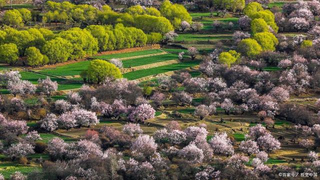 林芝旅游攻略，因为它有无与伦比的山水背景