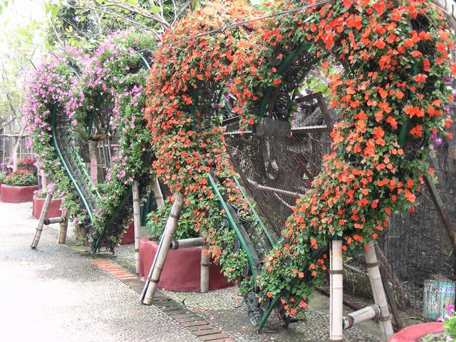 长鹿休闲度假农庄，长鹿农庄旅游攻略（Yoyo游一游——长鹿旅游休博园）