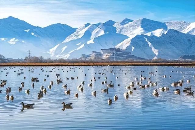 春天的景物有哪些，春天的景物（藏着中国最美的春光）