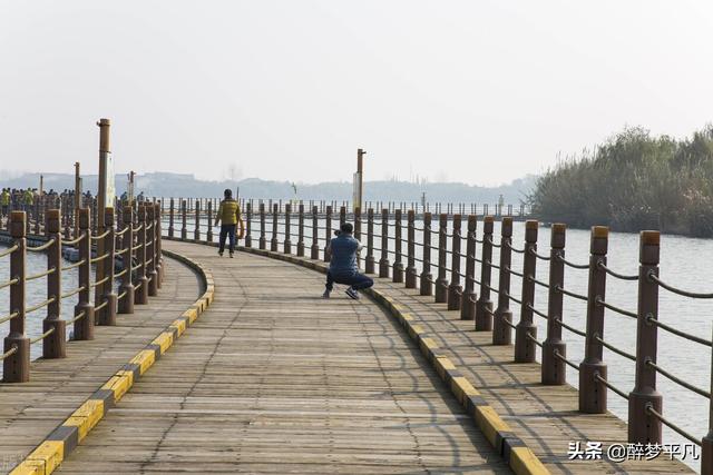 溱湖湿地公园有哪些，泰州溱湖国家湿地公园