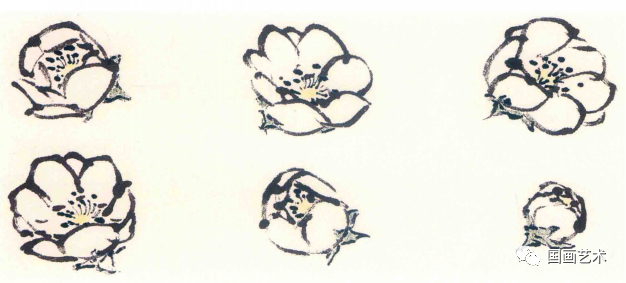 梅花怎么画简单又好看，梅花简笔画怎么画（图文教程——梅花基本画法）