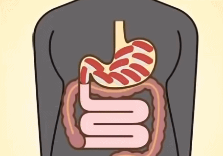 莫沙比利功能和主治，莫沙必利药理作用（多潘立酮与莫沙必利有区别吗）