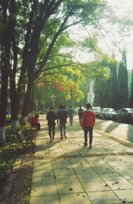 美国式教育方式，美国教育形式（国内教育存在诸多弊端）