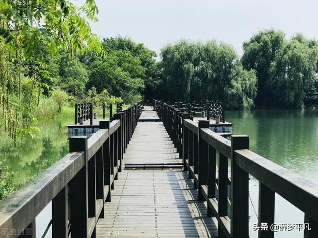苏州太湖湿地公园，苏州太湖湿地公园介绍（苏州吴中太湖旅游区）