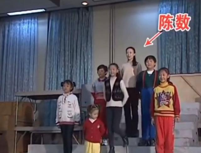陈数的丈夫是何人，陈数：结婚12年未生育