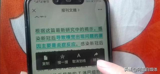 微信如何更新到最新版本，如何更新微信版本到最新版（微信更新到8.0.32版本）