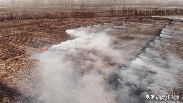 草木灰是什么肥料，草木灰是什么（农村人可能比专家更了解）