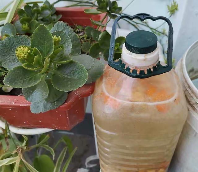 浇花用什么水好，用什么水浇花比较好（用“3种水”来浇花）