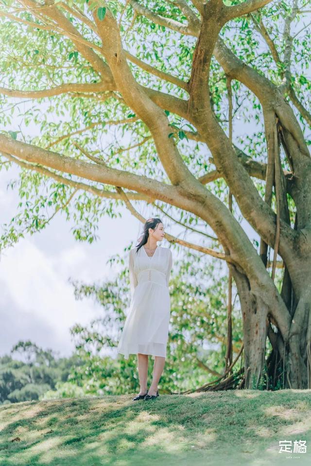 深圳一日游免费必去的地方，深圳最适合一日游的15个免费景点（深圳10个小众打卡地）