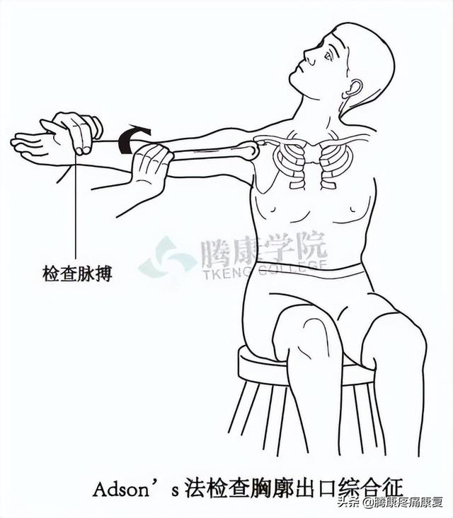 biceph，肩关节的特殊检查（bicep curl）