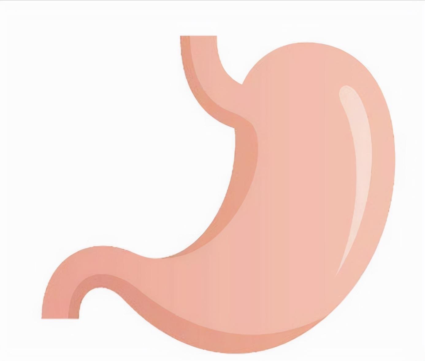 包括胃的常见疾病 - 玉三网