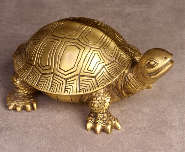 巴西龟可以吃吗，自养的巴西龟能吃吗（巴西龟在我国泛滥成灾）