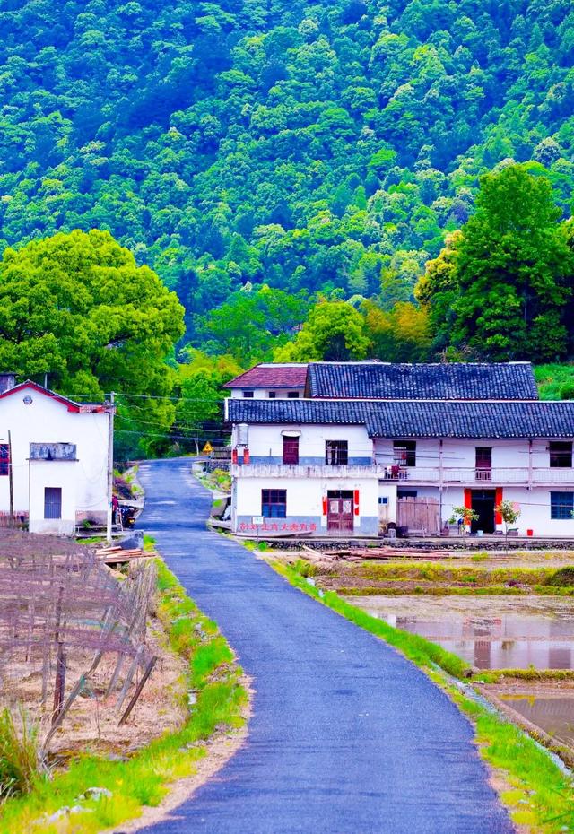 不如名师指路前面一句是什么，不如名师指路前面一句是什么成语（就是看透而不说透）