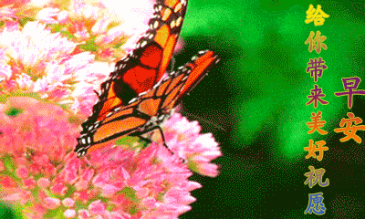 异性暧昧早安问候图片，异性知己早上好暖心问候（不用打字就可以聊天的早上好图片）