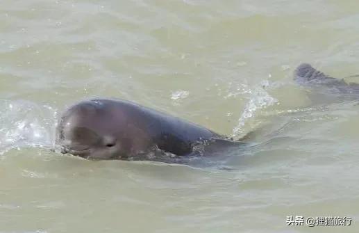 江宁校区，河海大学江宁校区面积（南京江宁区江宁街道在长江边）
