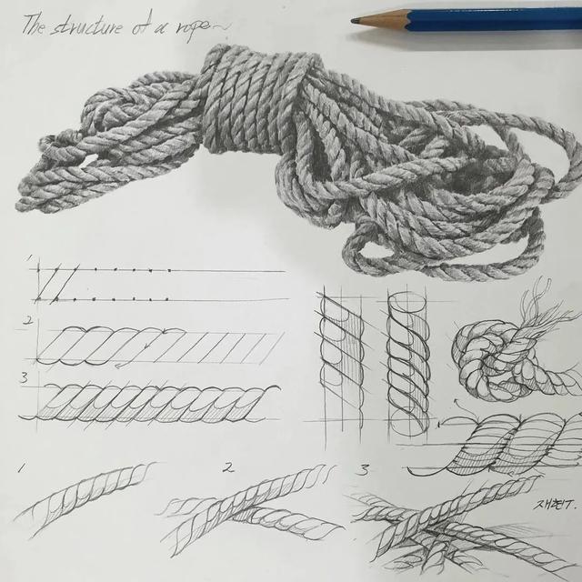 素描技巧和画法，画好素描的步骤（素描丨画好素描不是一蹴而就的）