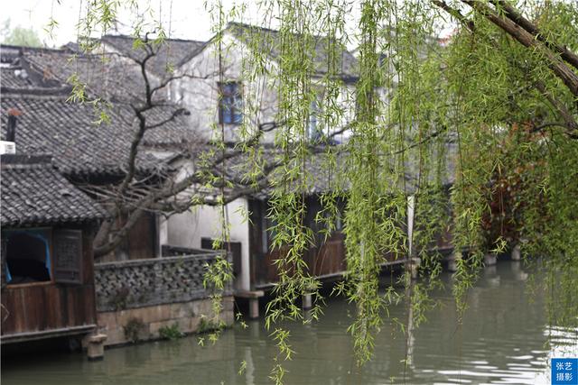 乌镇好玩吗，乌镇好玩吗值得去一下吗（素有“中国最后的枕水人家”之誉）