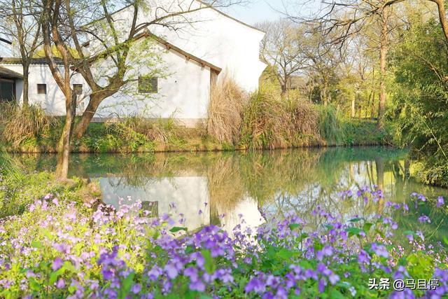杭州有哪些景区比较值得去，杭州必去十大景区（让你领略自然和人文双重景致）