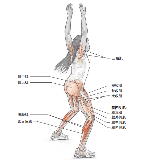 如何提高跑步速度，如何快速提高跑步速度（推荐快速提升跑步配速的6个基础训练动作）