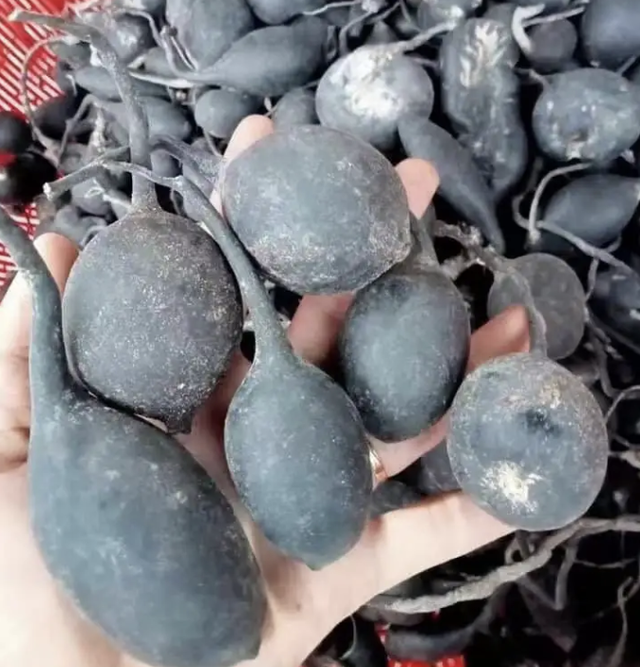 泥土最珍贵，泥土最珍贵阅读理解及答案（如今90元一两有人买）