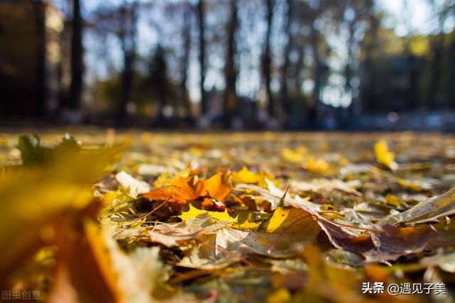 秋天的风怎么形容，冬天的风怎么形容唯美（散文：秋，从一缕风吹处起笔）