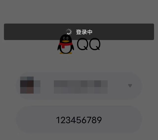 qq安全码是什么（所有的QQ都能用123456789登录）