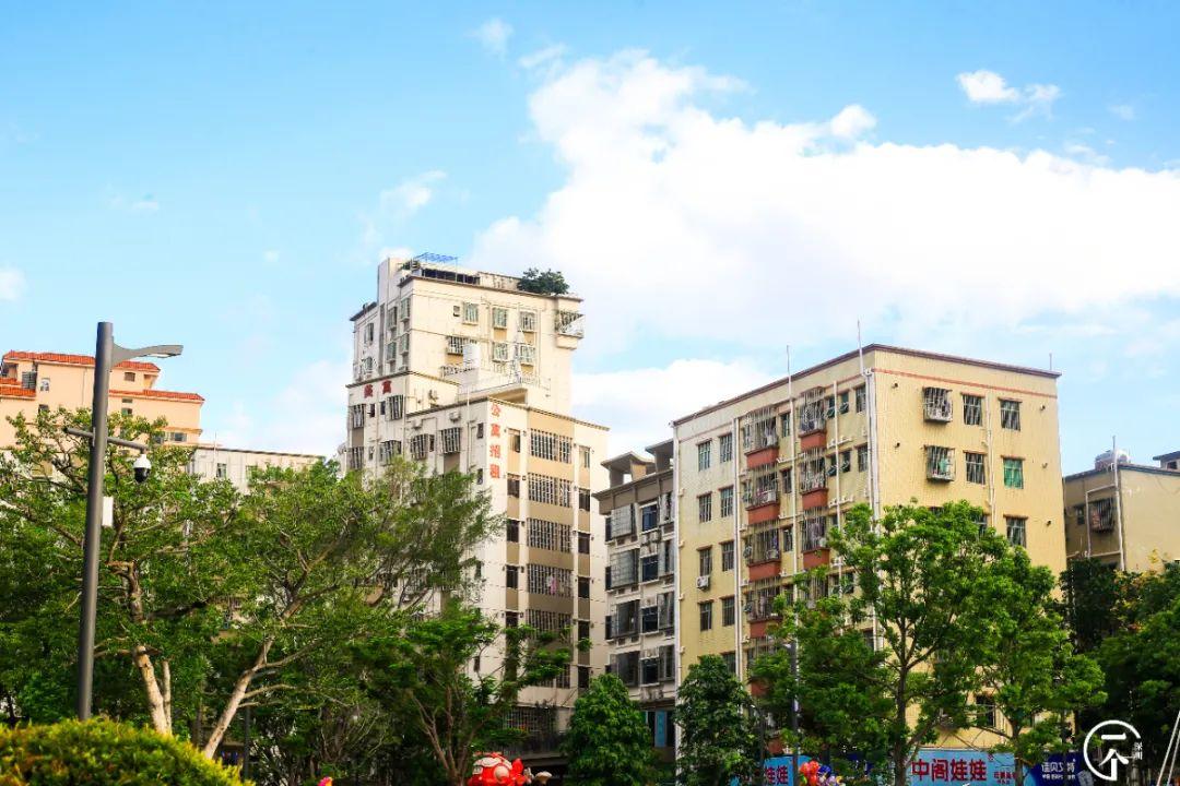 深圳北在哪个区(深圳西站在哪个区)
