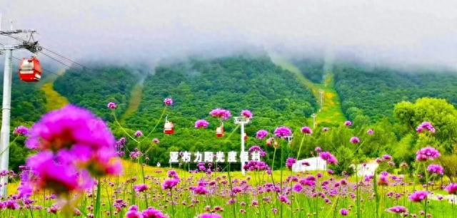 亚布力阳光度假村的夏季回来啦！
