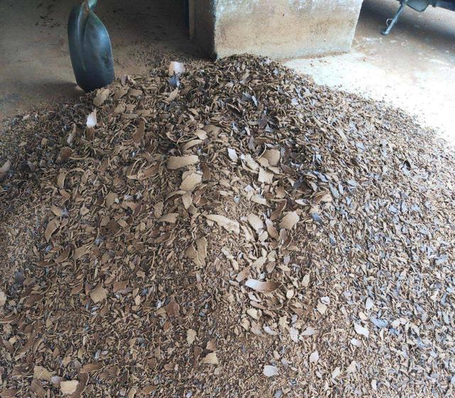 学什么手艺最赚钱，现在学习哪门手艺比较赚钱（经营好这2个小生意）