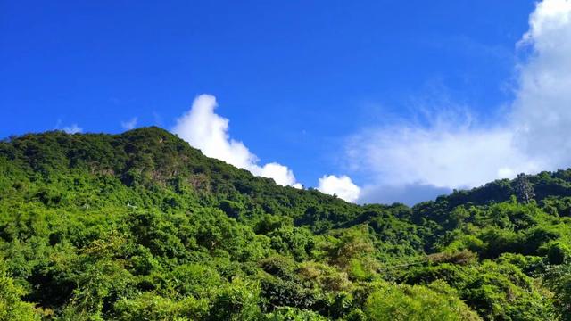 基金買賣的操作流程投資學(xué)，基金買賣如何操作流程？