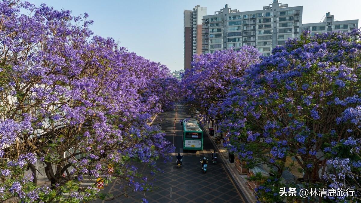 夏季旅游胜地(世界十大最佳旅游胜地)插图(2)