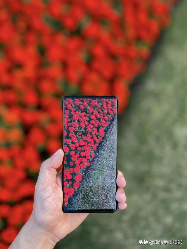 什么情况下拍照用HDR模式，拍照中的hdr是什么模式（你想不到的公园拍照技巧）