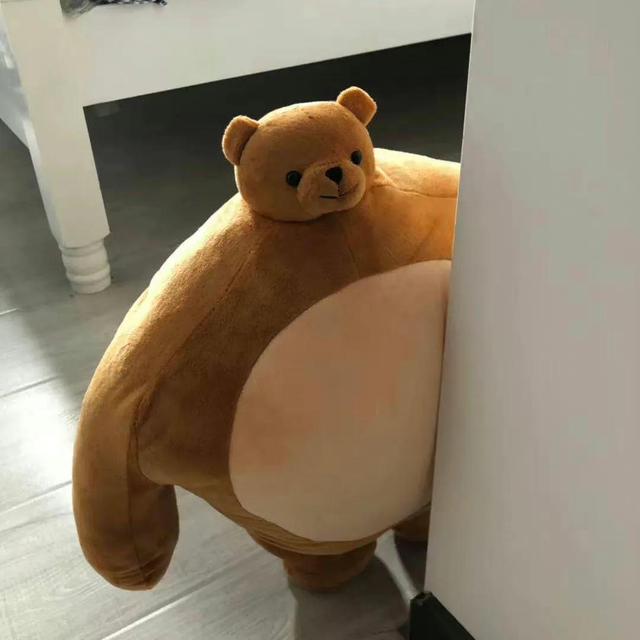 可爱的小熊头像微信，可爱的小熊头像（可爱小熊头像‖有趣可爱）