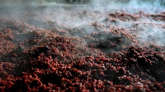 中国名酒排行榜前十名，中国名酒排行榜前二十名（茅台为何只排第5名）