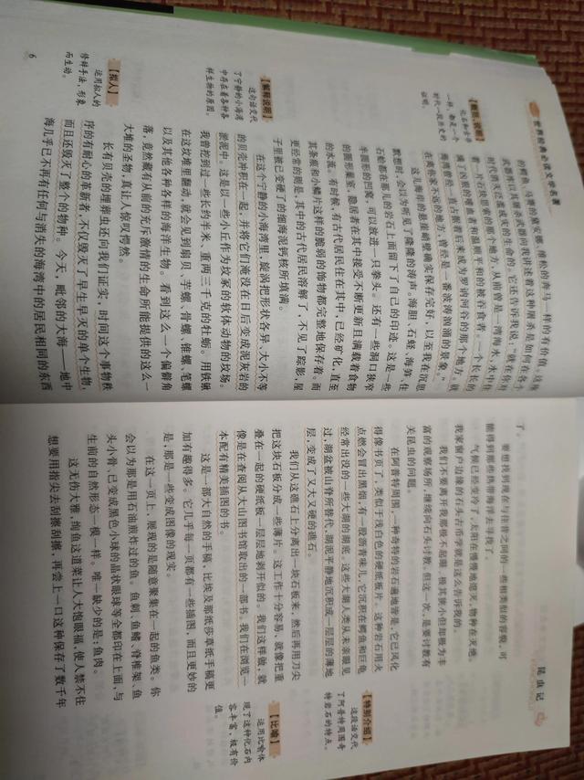 老象虫的外形特点，老象虫外表有何特点（一起读书——《昆虫记》）