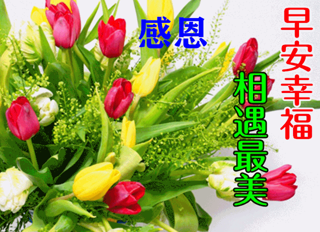 带字图片.,带字图片大全(非常有创意好看的早安图片带祝福语)